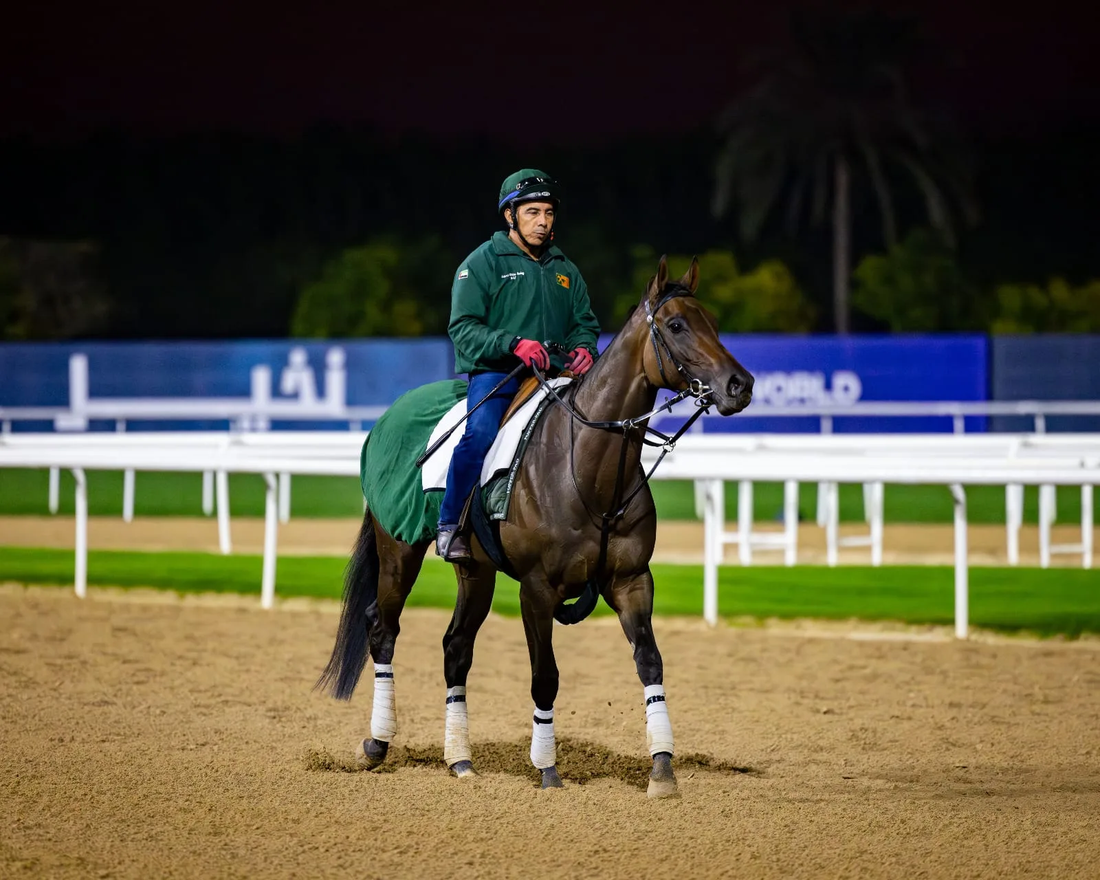 The string at work on the Meydan training track