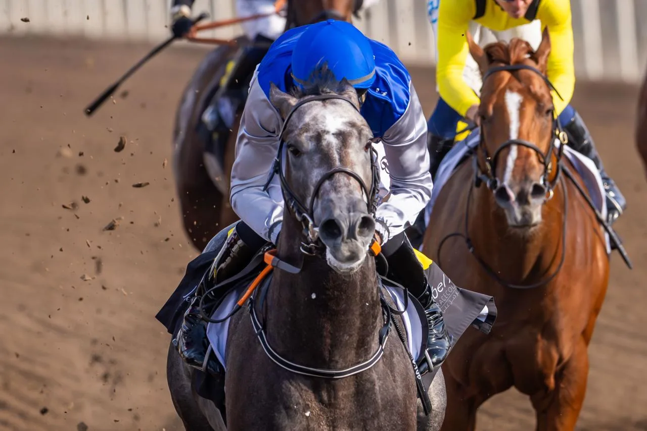 Rakaan — Jebel Ali Racecourse