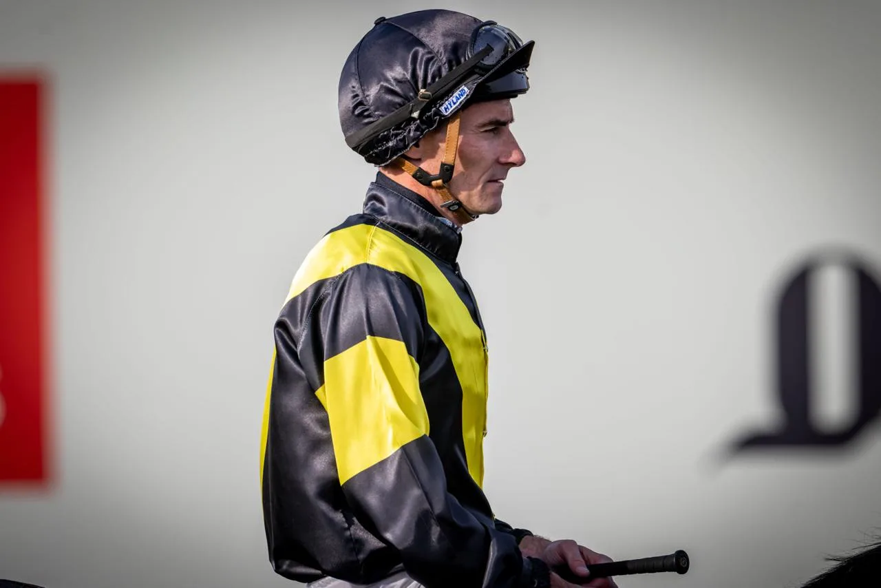 Tjareed — Conditions Jebel Ali Distaff
