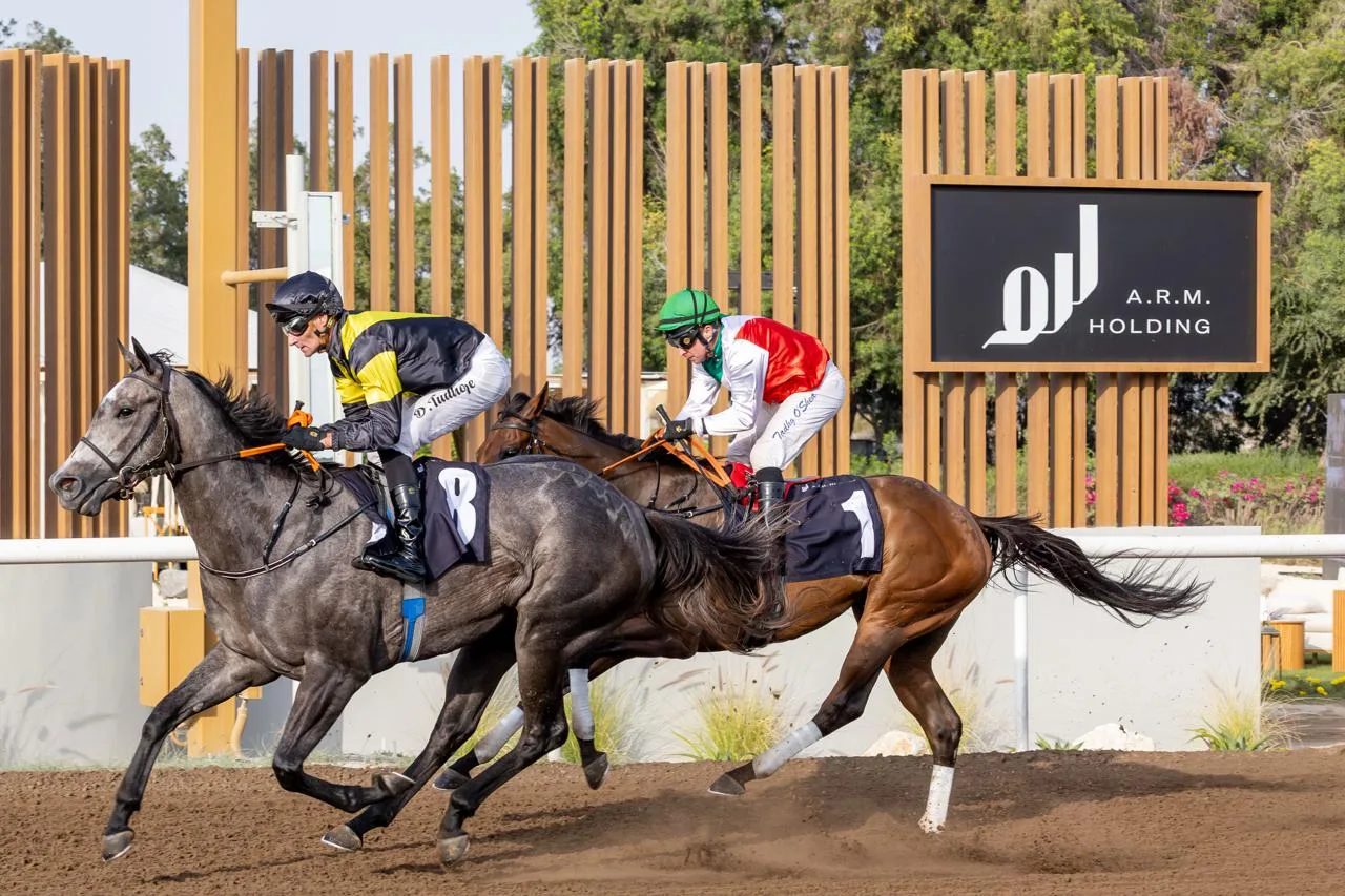 Tjareed — Conditions Jebel Ali Distaff
